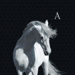 Аквариум альбом Лошадь Белая 3 Аквариум альбом Лошадь Белая