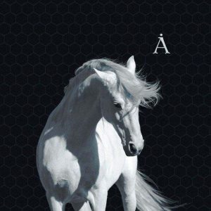 Аквариум альбом Лошадь Белая