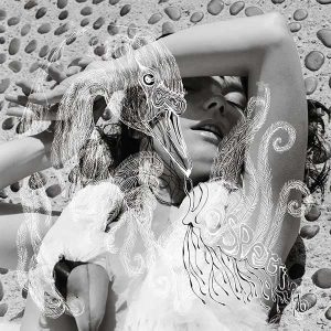 Bjork альбом Vespertine