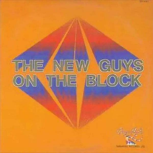 Виниловая пластинка New Guys On The Block альбом The New Guys On The Block Виниловая пластинка New Guys On The Block альбом The New Guys On The Block