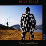 Pink Floyd ‎альбом Delicate Sound Of Thunder