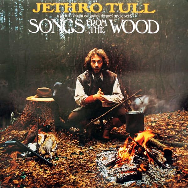 Виниловая пластинка Songs From The Wood Виниловая пластинка Songs From The Wood