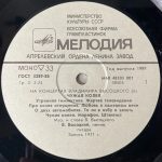 На концертах Владимира Высоцкого 6 (1)